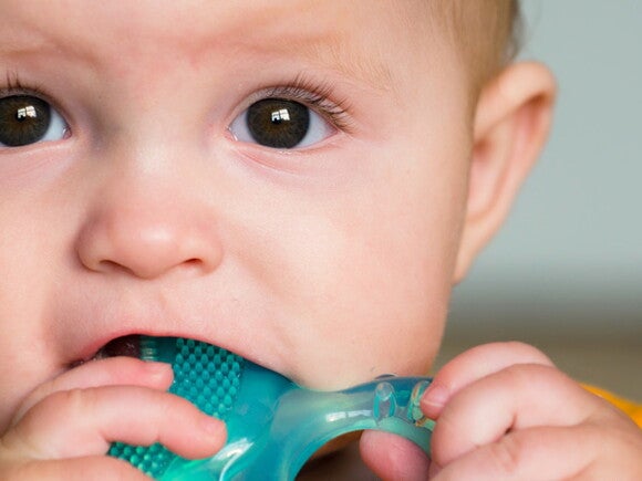 6 month sale baby teething