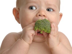Picky eater Picky eater